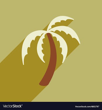 Modern flat icon with long shadow Indian palm vector image