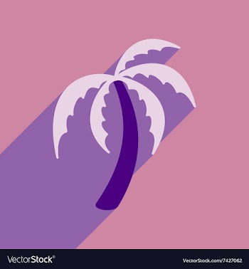 Modern flat icon with long shadow Indian palm vector image