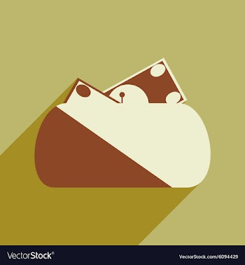 Modern flat icon with shadow purse and money vector image