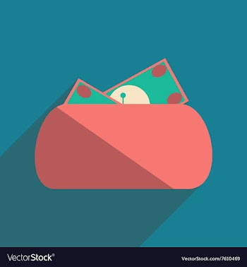 Modern flat icon with shadow purse and money vector image