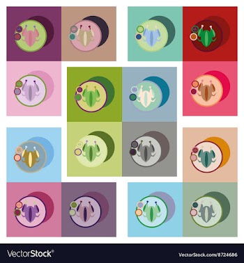 Modern flat icons collection chicken on vector image