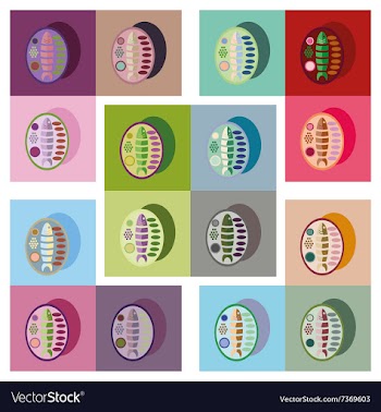 Modern flat icons collection fish on plate vector image
