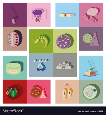 Modern flat icons collection shadow food vector image