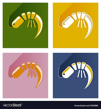 Modern flat icons collection shadow shrimp vector image
