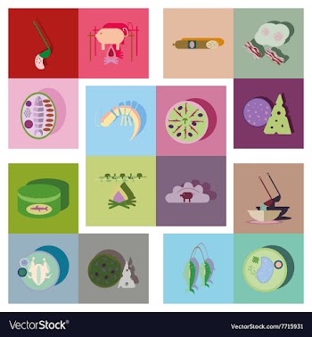 Modern flat icons collection with shadow vector image