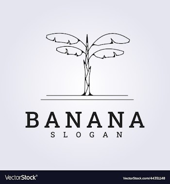 modern line art banana tree logo