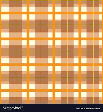 Modern Orange Plaid Pattern vector image