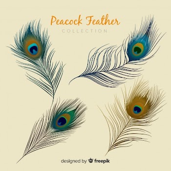Modern peacock feather collection with realistic design