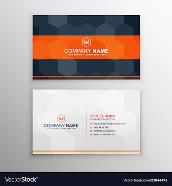 Modern professional business card vector image