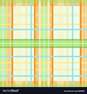 Modern spring plaid pattern vector image