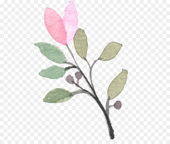 Modern Watercolor: A Playful and Contemporary Exploration of Watercolor Painting Pink - Hand-painted Plants 