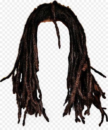 Mohawk hairstyle Long hair Dreadlocks - hair 