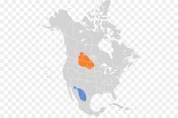 Mojave Desert Sonoran Desert Chihuahuan Desert Great Basin - desert 