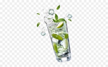 Mojito Cocktail garnish Gin and tonic Vodka tonic - mojito 