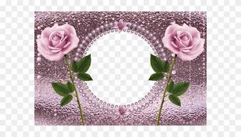 Molduras, Rosas Cor De Rosa, Planos De Fundo - Pink Rose Frames