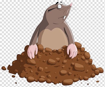 Mole animal illustration, Cartoon Mole , Mole Cartoon transparent background PNG clipart