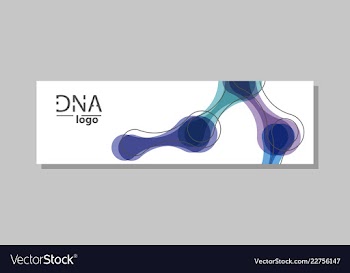 Molecular structure with connected lines and dots vector image