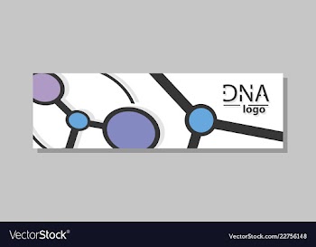 Molecular structure with connected lines and dots vector image