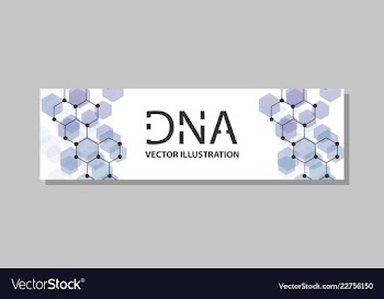 Molecular structure with connected lines and dots vector image