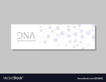Molecular structure with connected lines and dots vector image