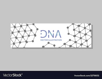 Molecular structure with connected lines and dots vector image