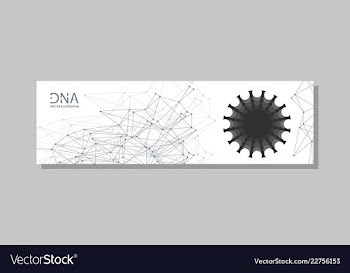 Molecular structure with connected lines and dots vector image