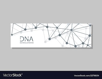 Molecular structure with connected lines and dots vector image