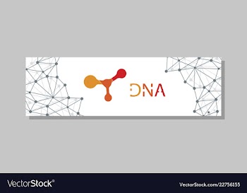 Molecular structure with connected lines and dots vector image