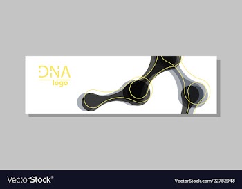 Molecular structure with connected lines and dots vector image