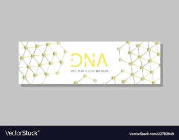 Molecular structure with connected lines and dots vector image
