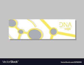 Molecular structure with connected lines and dots vector image