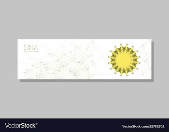 Molecular structure with connected lines and dots vector image