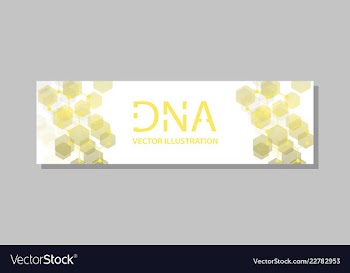 Molecular structure with connected lines and dots vector image