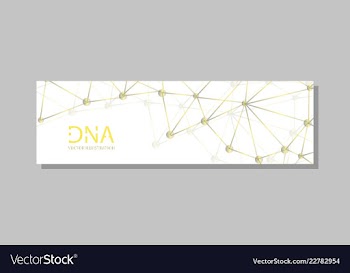 Molecular structure with connected lines and dots vector image