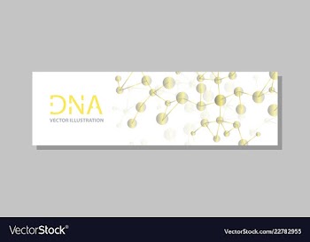 Molecular structure with connected lines and dots vector image