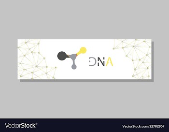 Molecular structure with connected lines and dots vector image