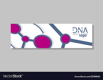 Molecular structure with connected lines and dots vector image