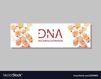Molecular structure with connected lines and dots vector image