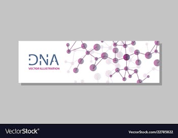 Molecular structure with connected lines and dots vector image