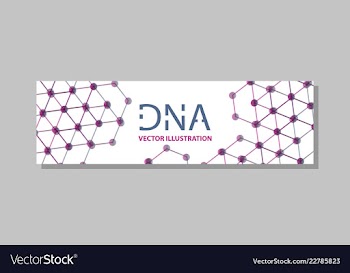 Molecular structure with connected lines and dots vector image
