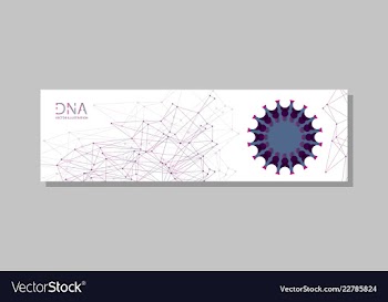 Molecular structure with connected lines and dots vector image