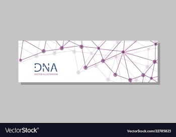 Molecular structure with connected lines and dots vector image
