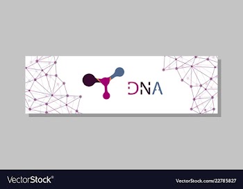 Molecular structure with connected lines and dots vector image