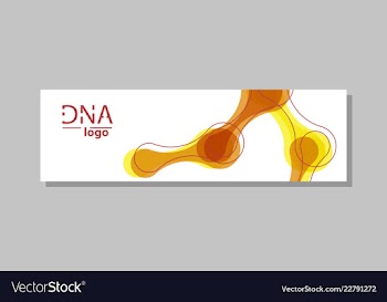 Molecular structure with connected lines and dots vector image