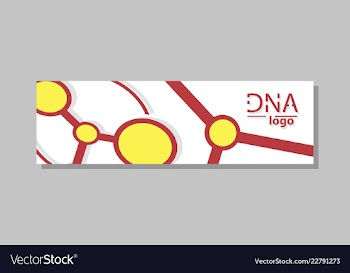 Molecular structure with connected lines and dots vector image
