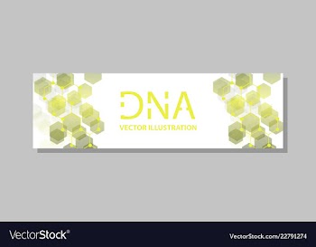 Molecular structure with connected lines and dots vector image