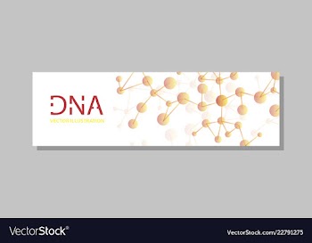 Molecular structure with connected lines and dots vector image
