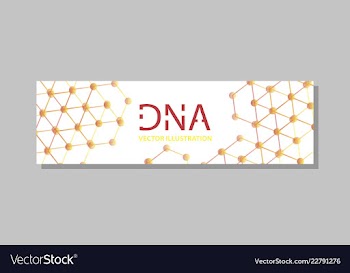 Molecular structure with connected lines and dots vector image
