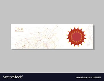 Molecular structure with connected lines and dots vector image