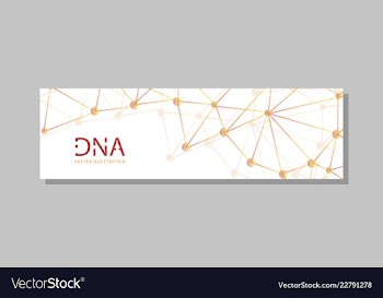 Molecular structure with connected lines and dots vector image